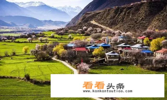上海到拉萨旅游攻略？