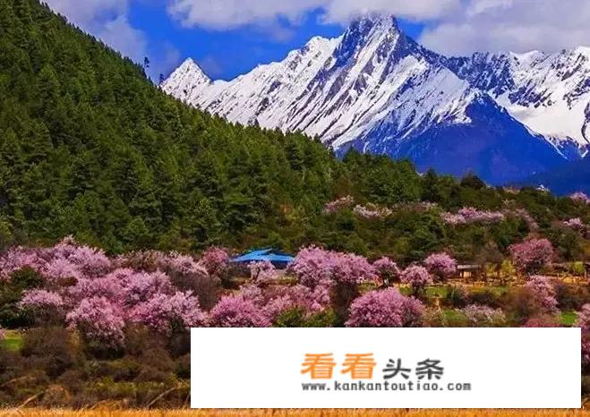 上海到拉萨旅游攻略？