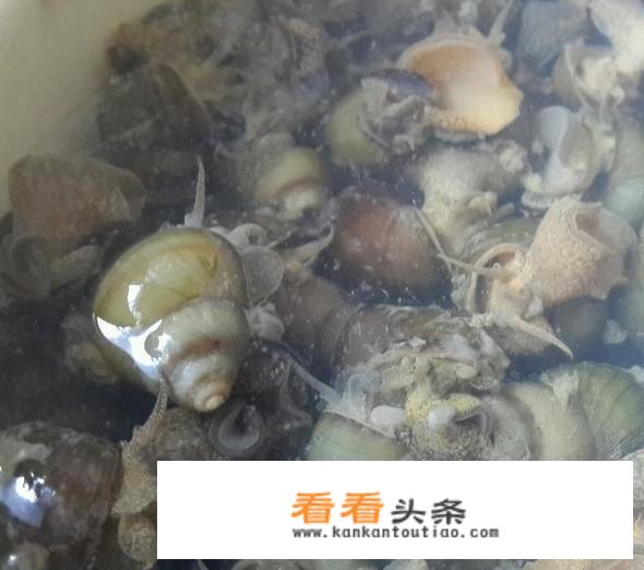 炒田螺的方法？