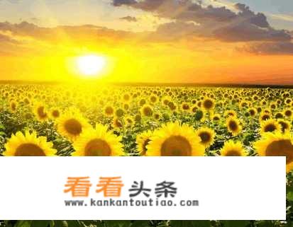 求曲风比较黑暗向的歌曲~？