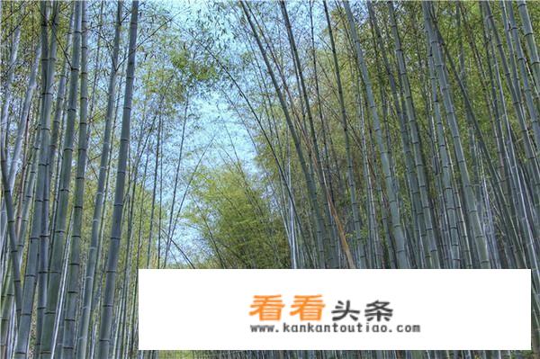 外地车去杭州自驾游方便吗？