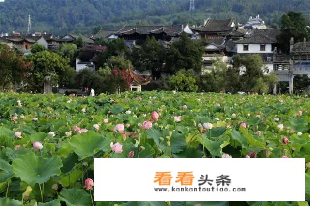 8月份去腾冲旅游带什么东西，要穿什么衣服，需要注意点什么？