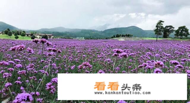 8月份去腾冲旅游带什么东西，要穿什么衣服，需要注意点什么？