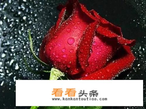喝玫瑰花茶有什么好处？