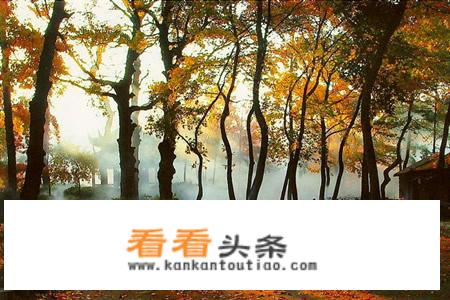最近去哪里游玩比较合适？