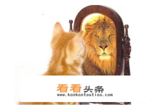 心理档案表里的成长经历怎么填？