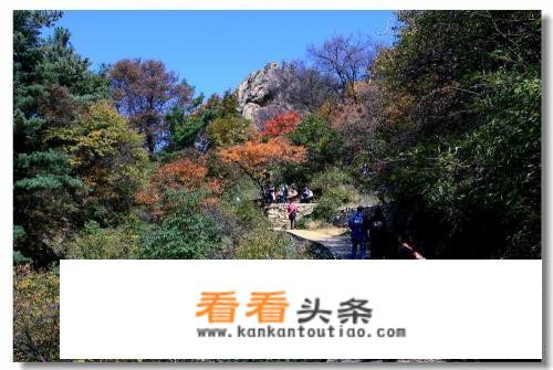 秋游适合去什么地方或者什么活动，爬山还是旅游？