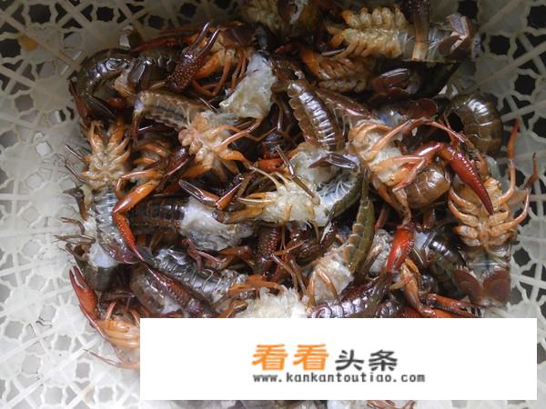 麻辣龙虾是怎么做的？