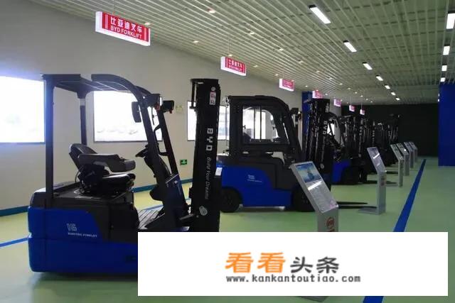 为什么说比亚迪是汽车界的泰迪？