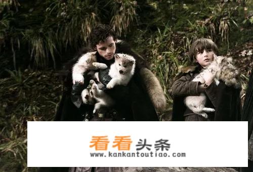 权力的游戏琼恩，艾林是谁？他和琼恩，雪诺什么关系？