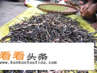绿豆、红豆、薏米可不可以放在一起煮？对身体有哪些好处？