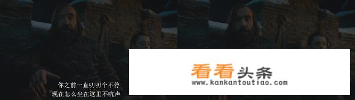 瓦德弗雷是哪个家族的？