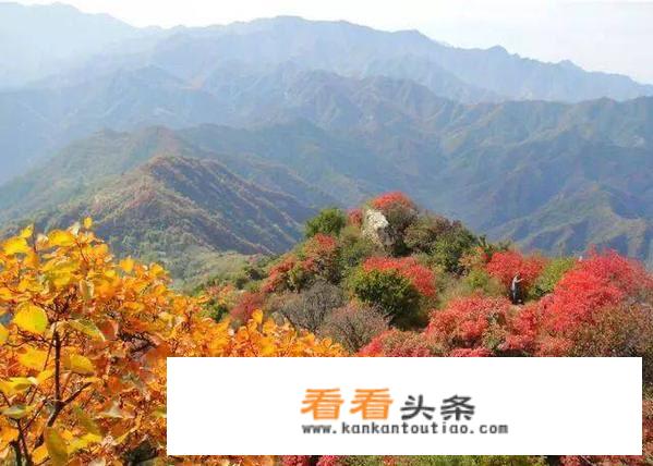 已经进入赏秋的黄金时段，你准备到西安周边哪里去，看色彩斑斓的美丽秋色？