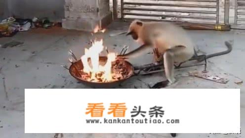 女生自己开飞机工具推荐？