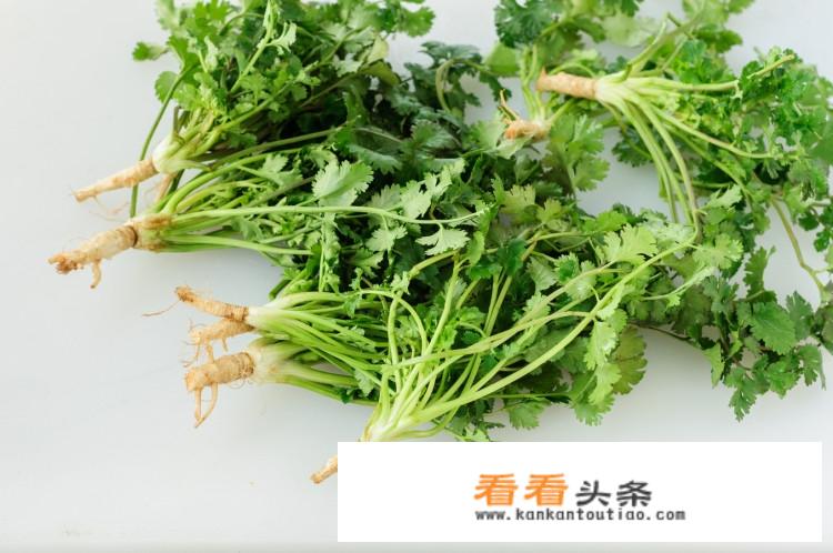 香菜怎么腌制好吃？