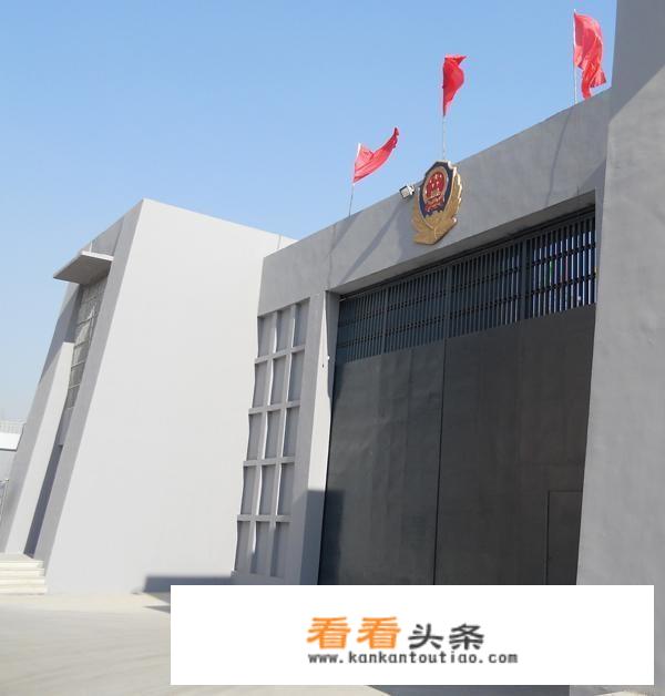大学生掏鸟买鸟被判十年还上头条说明了什么现象？