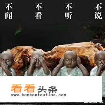 8月带娃去武当山攻略？