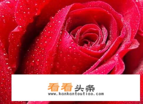 我58级SS,新手，现在在东瘟疫做任务，刚接到“爱与家庭”的任务。据说是十大经典任务之首哦？