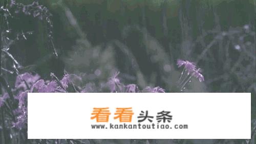 我58级SS,新手，现在在东瘟疫做任务，刚接到“爱与家庭”的任务。据说是十大经典任务之首哦？