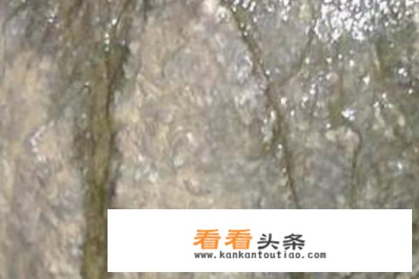 高档莫西沙原石的皮壳特点？
