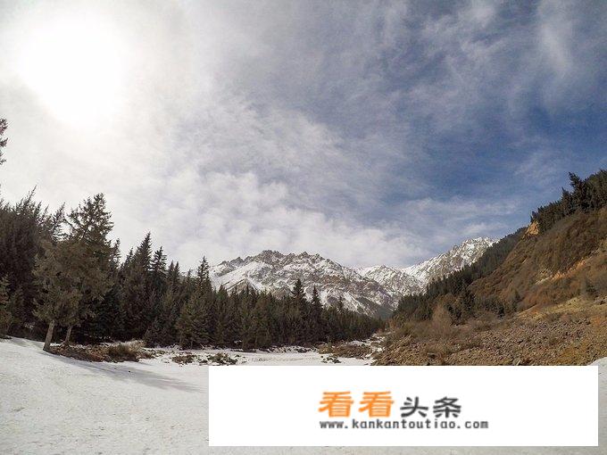 青海旅游车队怎么加入？