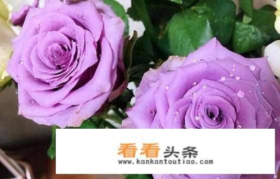 玫瑰水的用法都有些什么的？具体如何使用个？