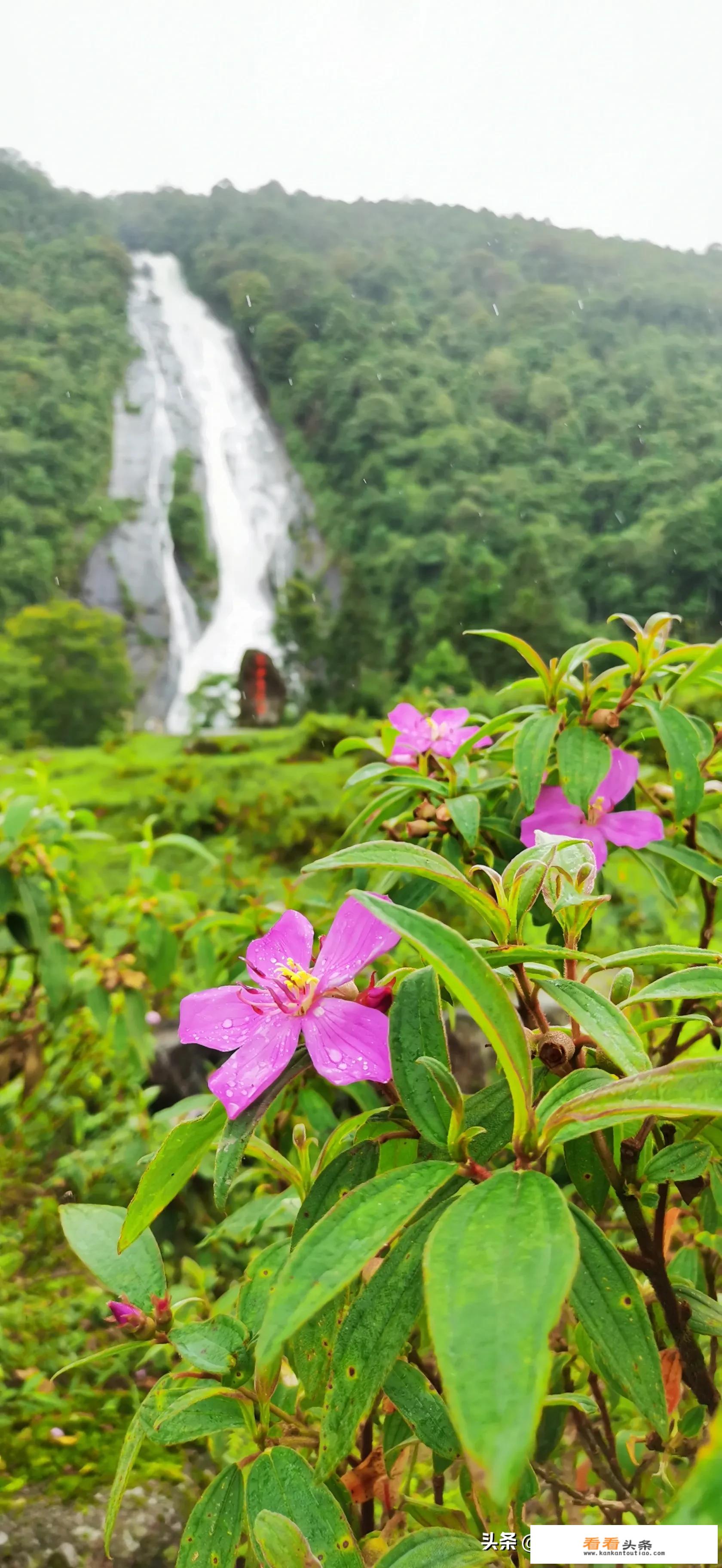 云南十大旅游景点？