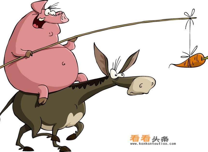 我家狗狗怀孕53天，然后有天晚上突然吐血了，后来没抢救过来，我想知道是什么原因？