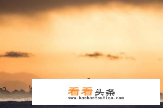 11月适合去哪旅游？