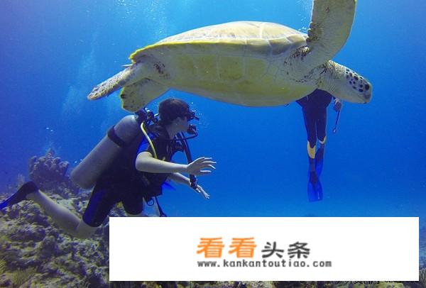 张家口机场到达曼谷在石家庄转机可以吗？