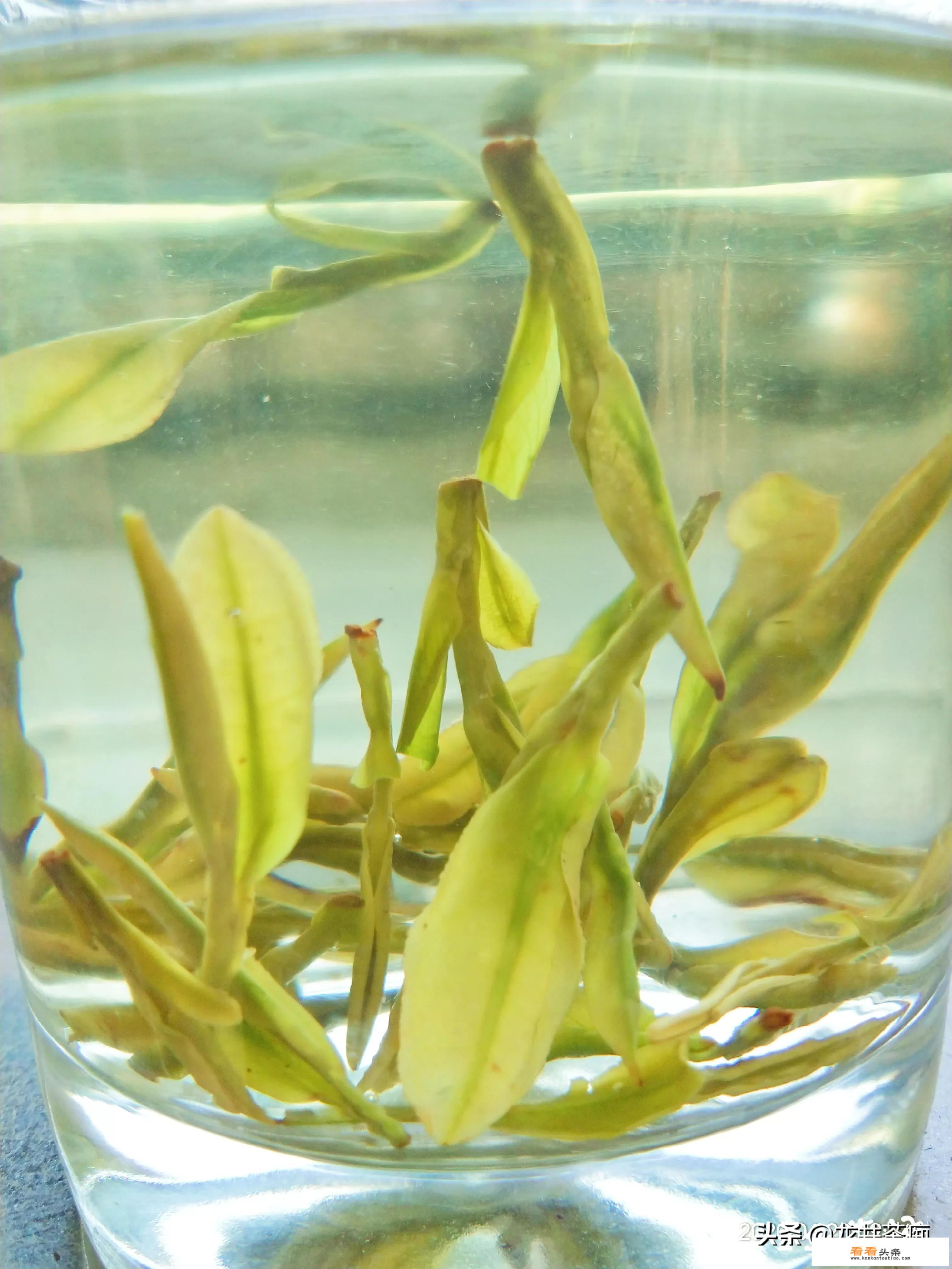 什么是西湖龙井茶？