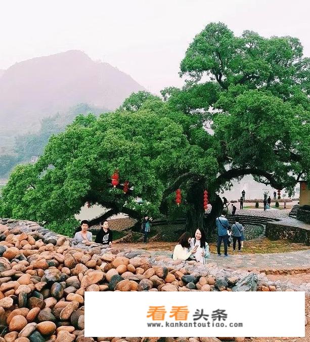 永泰到嵩口古镇怎么走？