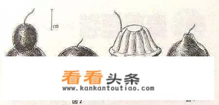 手榴弹是一种怎样的武器？