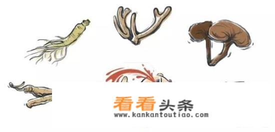 西洋参和黄芪都补气，但禁忌各有不同，如何用才健康？