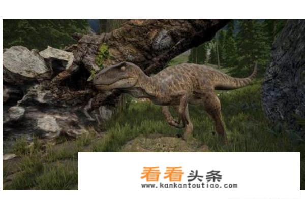 岛TheIsle游戏技巧攻略？