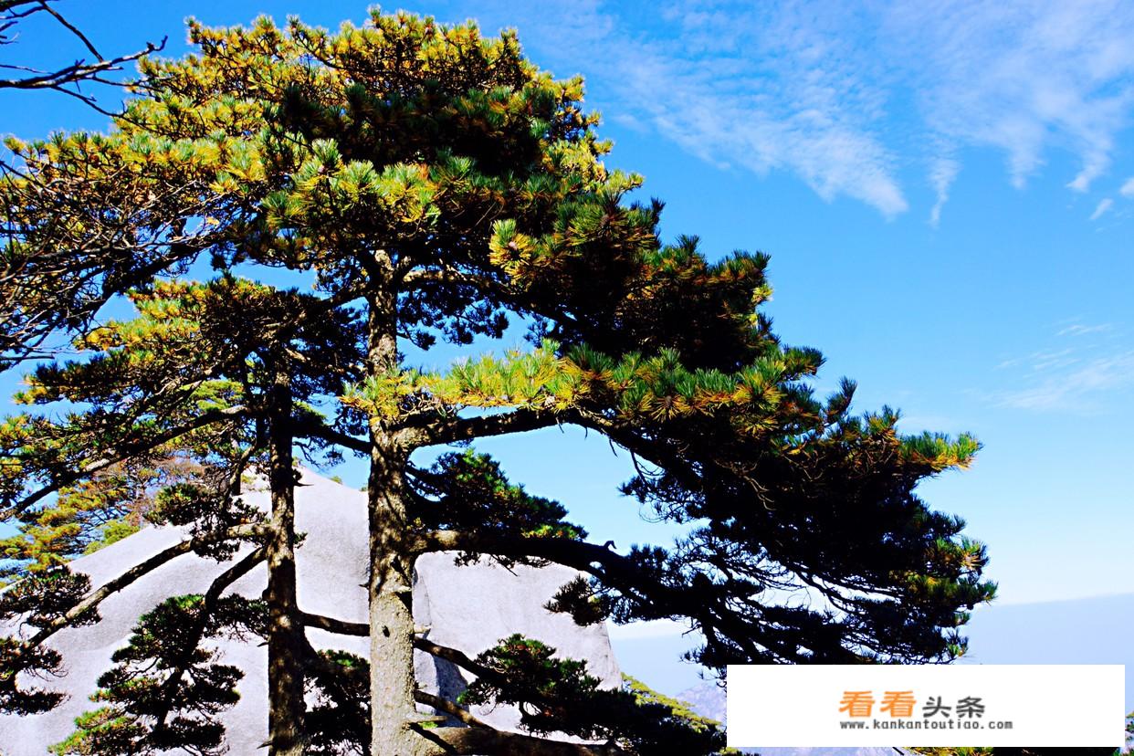 从九江自由行去黄山二日游，行程怎么安排？求助？