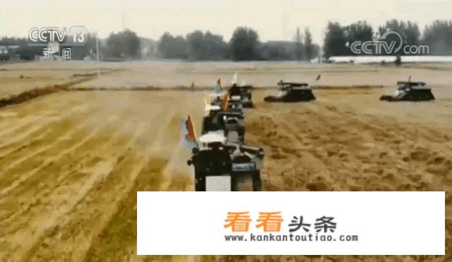 姑娘高三了，最近晚自习回来总是抱着手机睡的很晚，怎么解决呢？