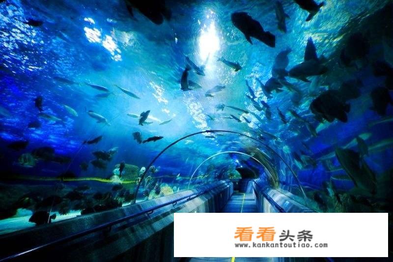 大连旅游集团怎么样？