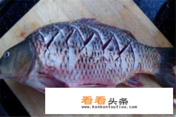 红烧鲤鱼怎么做好吃，鲤鱼的家常菜做法？