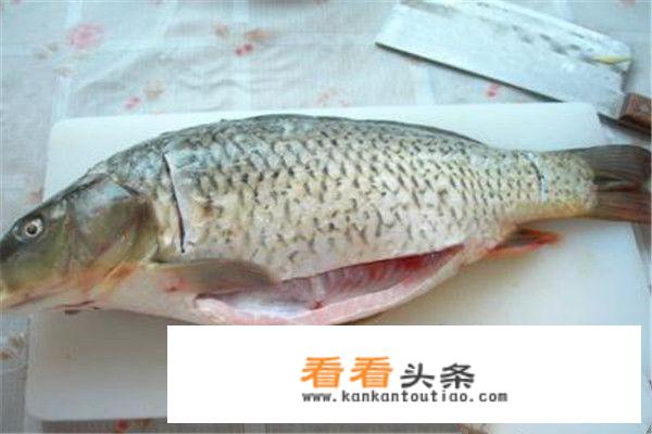 红烧鲤鱼怎么做好吃，鲤鱼的家常菜做法？