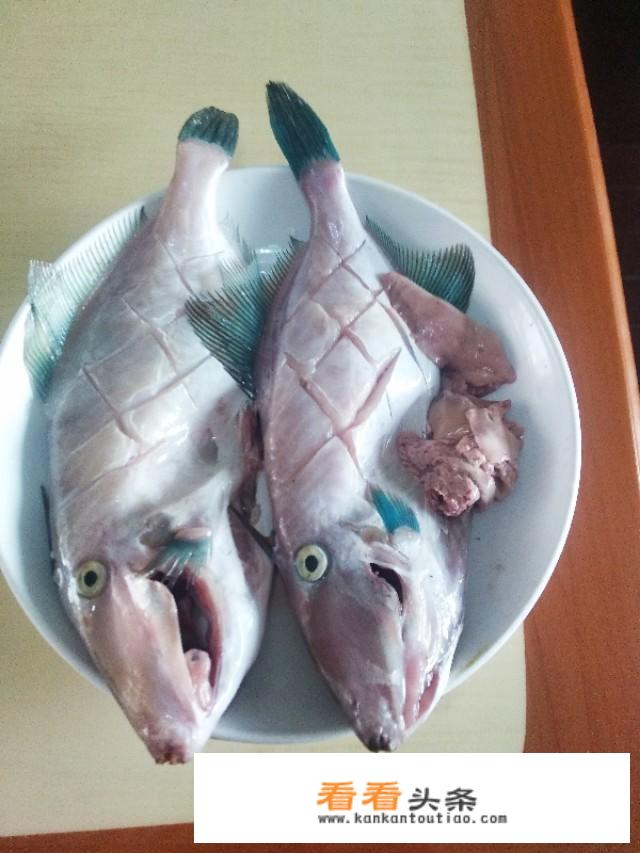 剥皮鱼的学名是什么？