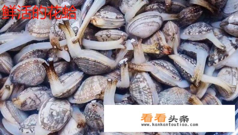 花蛤先焯水还是直接炒？