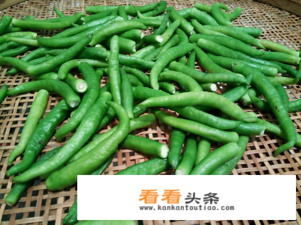 剁青辣椒腌制最简单的方法？