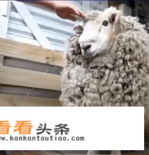 东风风神奕炫售6.99万-10.09万元，8款车型如何选？