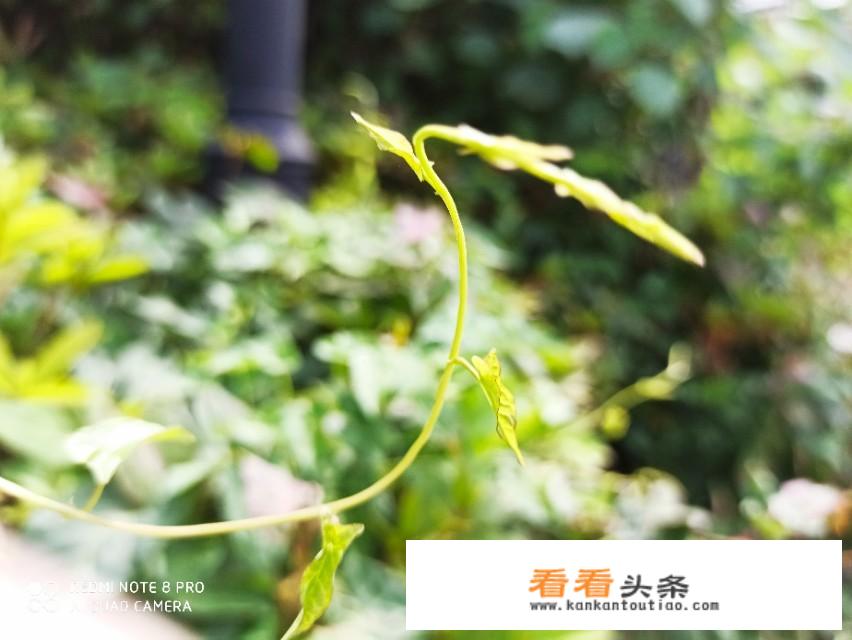 兰州出发到敦煌的路线？