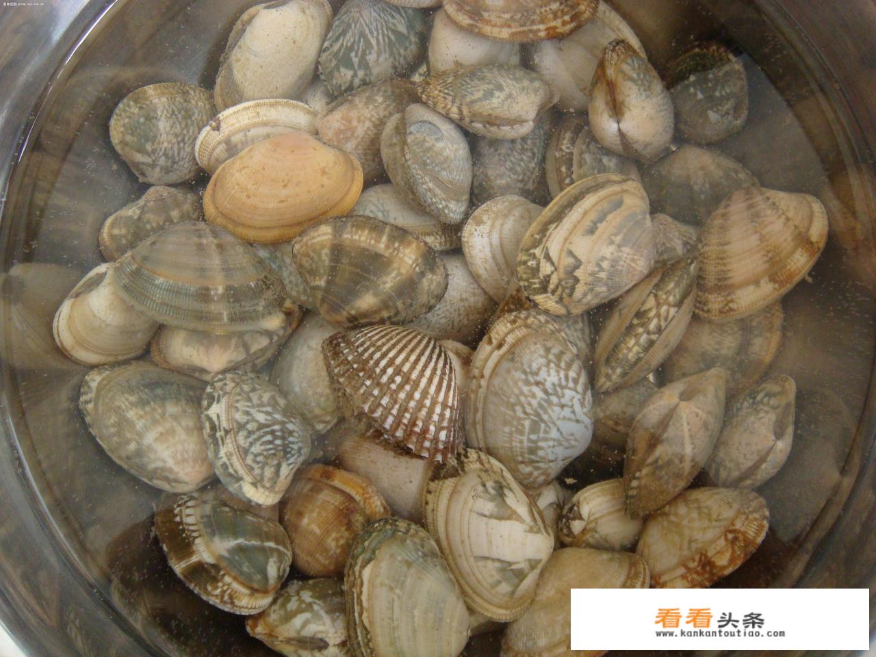 竹蛏点读？