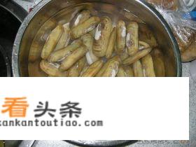 竹蛏点读？