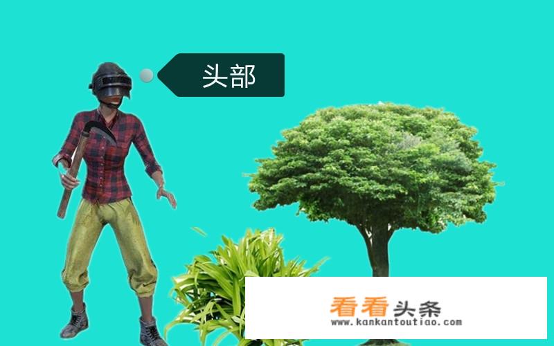 《刺激战场》游戏中，人物不同部位中弹后所受到的伤害是怎么样的？