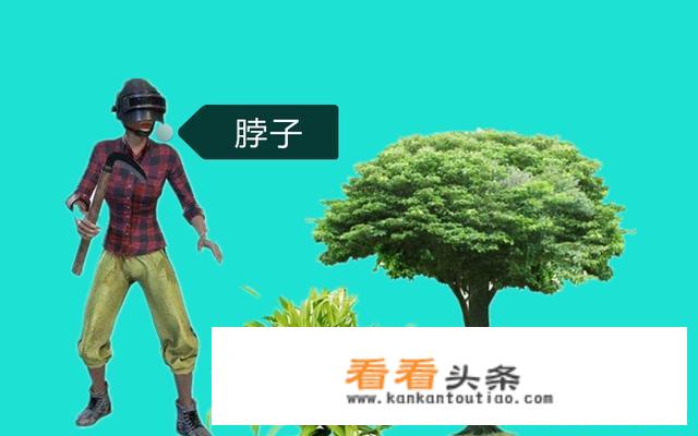 《刺激战场》游戏中，人物不同部位中弹后所受到的伤害是怎么样的？
