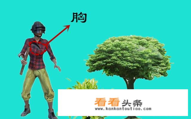 《刺激战场》游戏中，人物不同部位中弹后所受到的伤害是怎么样的？